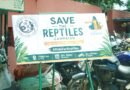50-வது ஆண்டில் அடியெடுத்து வைத்த மெட்ராஸ் முதலை வங்கி: ‘Save The Reptiles’ நாடு தழுவிய விழிப்புணர்வு பயணம் தொடக்கம்