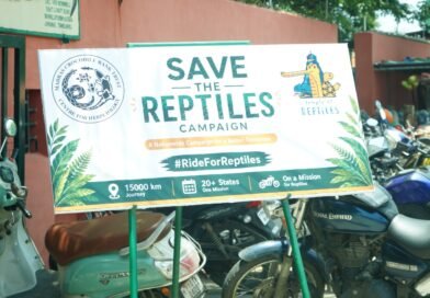 50-வது ஆண்டில் அடியெடுத்து வைத்த மெட்ராஸ் முதலை வங்கி: ‘Save The Reptiles’ நாடு தழுவிய விழிப்புணர்வு பயணம் தொடக்கம்